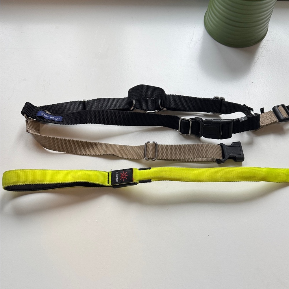 Dog LED glow in dark leash with petsafe harness - size large